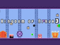 Kingdom of ninja 3