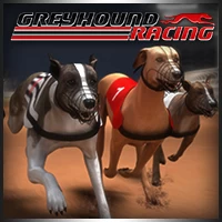 Greyhound racing