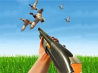 Bird hunting gun fire shooter