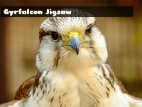 Gyrfalcon jigsaw