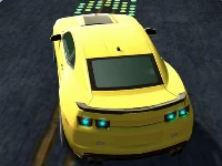 Rac simulator