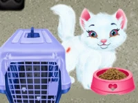 Baby taylor pet care - save cute animals