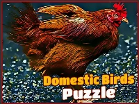 Domestic birds puzzle