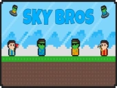 Sky bros