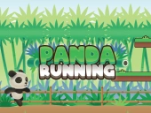 Panda running