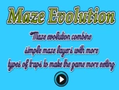 Maze evolution